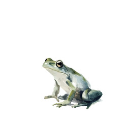 A vectorized, Hand-painted style, vector set available in EPS An Elegant watercolor painting design collection_Watercolor_style_painting_of_a_frog_on_a_white