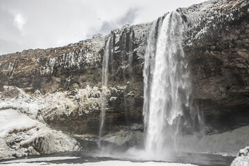 View of a powerful waterfall cascading down rugged cliffs dusted with snow and ice, creating a mesmerizing display of nature's raw beauty, Seljalandsfoss, Iceland.