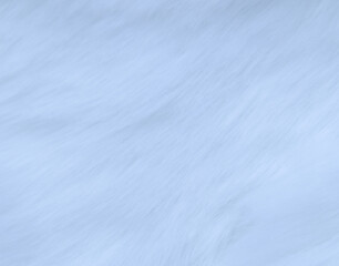 Texture of background of white fur in soft focus
