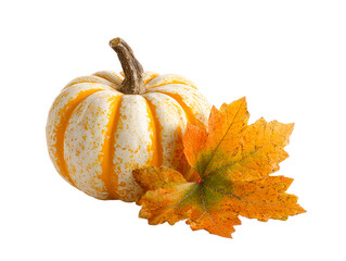 White and orange striped pumpkin with autumn leaf