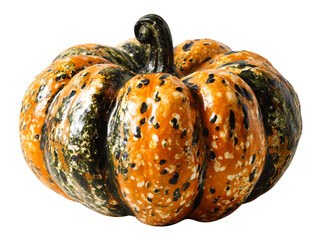 Ornamental Gourd with Splattered Texture and Dark Green Accents
