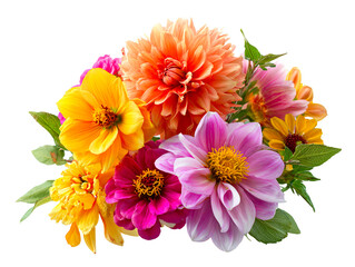 Colorful Dahlia Bouquet on White Background