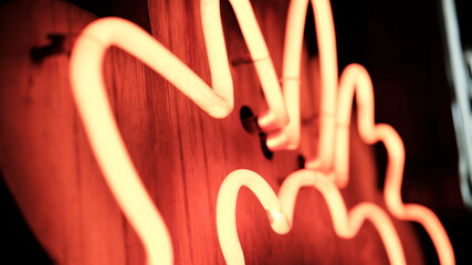 Glowing Neon Tubes, Illuminated Street Board Elements Close Up