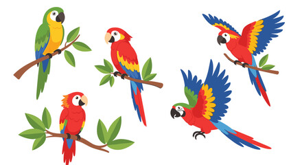 Naklejka premium A set of five colorful cartoon macaw parrots in various poses including perching on branches and flying against a white background.