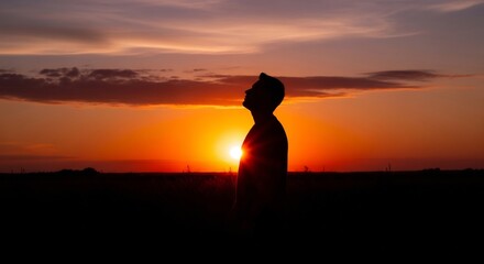 Silhouette of man looking up at a sunset in a field