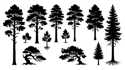 Silhouette Pine Trees Collection Abstract Vector Illustration Nature Forest Elements.Vector Bundle