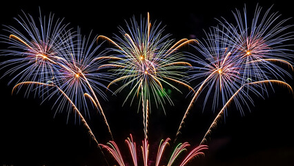 Bright neon fireworks bursts on black background.