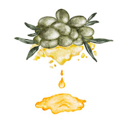 Watercolor hand painted of green olives with dripping olive oil isolated on white background.