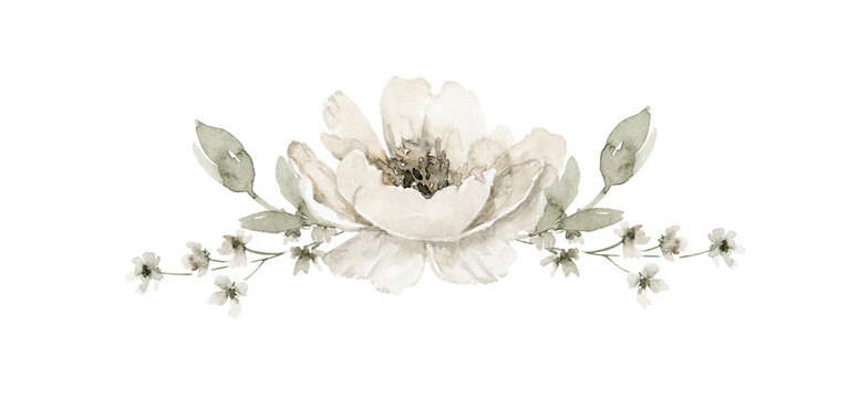 Loose watercolor composition with single off white flower, green leaves and brown accents, horizontally oriented. Great for invitation design, label, sticker, branding, journal or spring greeting card