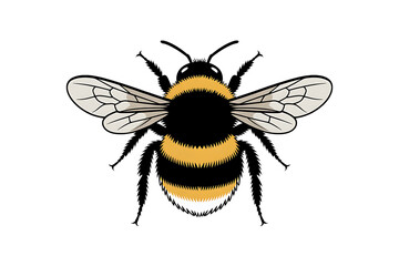 Fototapeta premium Illustration of a bumblebee on a white background