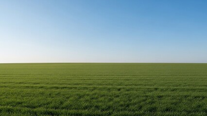 Obraz premium Endless Green Field Under Clear Blue Sky with Sunshine