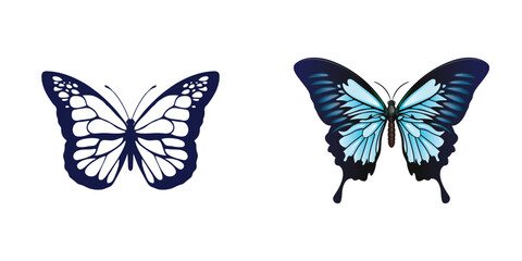 Obraz premium A colorful butterfly isolated on a white background with beautiful wings