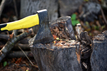 an axe in a stump. A close-up view of a rugged axe embedded in a wooden log, evoking notions of forestry, craftsmanship, and outdoor activities in nature. preparing firewood for the winter