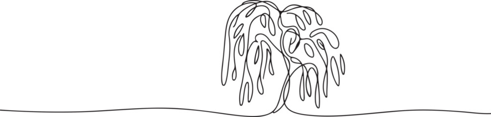 One continuous line drawing of Willow tree vector illustration. one line Art icon drawing © mst