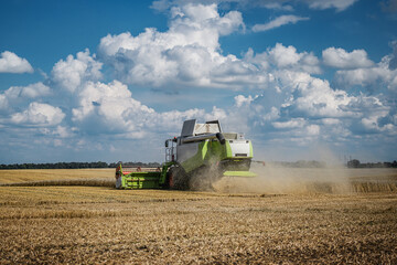 Combine harvesting wheat in a golden field under blue sky with fluffy clouds.