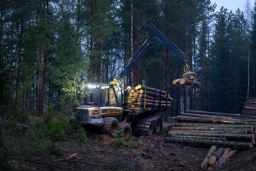 construction site in the forest © talavietis