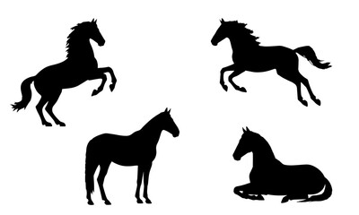 Horse silhouette set, side view. Isolated  flat black element  of rearing, jumping, trotting, standing, lying, galloping horse on white background. Vector icon, logo, illustration.