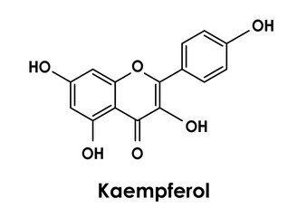 Kaempferol chemical formula, molecular structure on white background