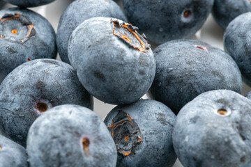 Blueberries ((Vaccinium corymbosum)