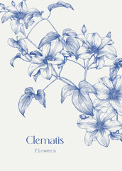 Toile Floral illustration Clematis flowers for design greeting card, wedding decor, invitation, gift. Elegante bloming twig. Vintage Vector background Blue beige. Engraved Hand drawn element