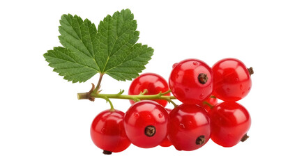 Red currant isolated PNG on transparent background, vibrant and juicy berries with green leaf for healthy eating and summer fruit themes