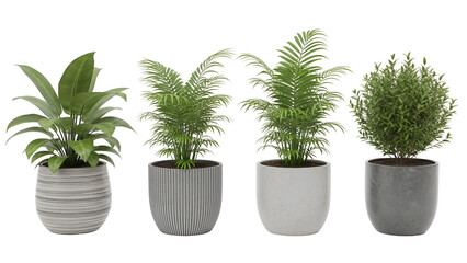 Obraz premium Different types of potted plants in various pots