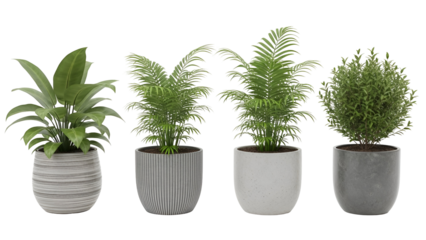 Different types of potted plants in various pots