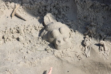 Sand Alligator on the Beach