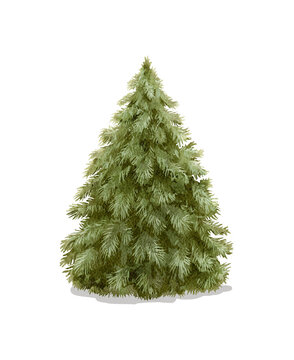 Watercolor classical vintage green fluffy Christmas tree isolated on white background. Watercolor and pencil hand drawn illustration sketch