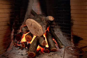 Firewood burning in the fireplace