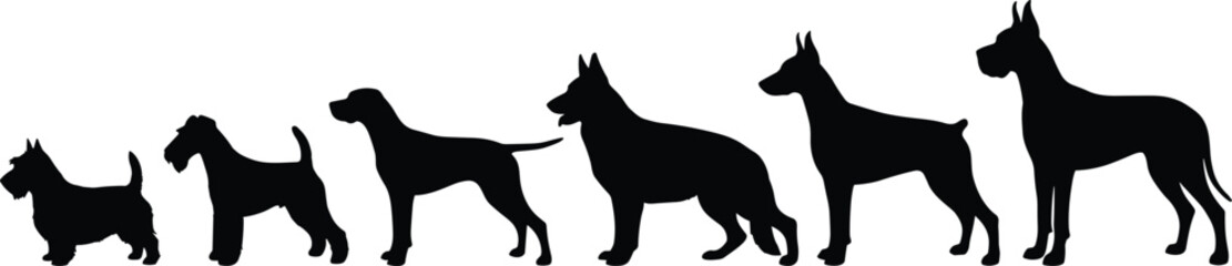 Silhouette, dog, breed, size, comparison, lineup, black, pet, animal, diversity, small, large, canine, growth, progression, standing, posture, graphic, illustration, domestic