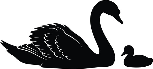 Swan and cygnet silhouette illustration, elegant mother bird with baby, wildlife family concept, isolated white background, minimalist black vector art