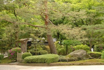 静かな庭園の美しい風景と魅力的な自然