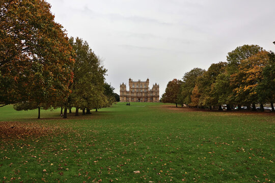 Autumn tree-lined approach to Wollaton Hall, Nottingham, England; historic Elizabethan mansion framed by fall foliage