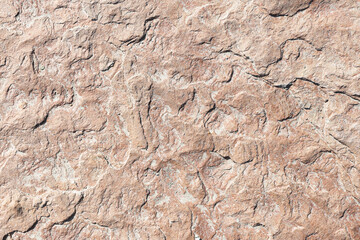 Natural stone rock surface texture. Rough cracked rock background detail. Weathered mineral pattern closeup. Earth geology surface. Abstract natural stone structure. Solid rocky material texture.