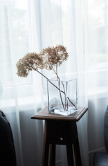 Glass vase with dried hydrangea flowers on wooden stool by window