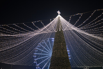 Fototapety na wymiar - Fototapeta24.pl