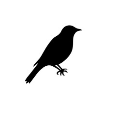 Obraz premium A black bird vector art