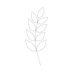 Hand-drawn branch made in vector. Isolated wild flower and leaves. Herbal engraved style illustration. Detailed botanical sketch for coloring, organic cosmetic