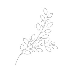 Hand-drawn branch made in vector. Isolated wild flower and leaves. Herbal engraved style illustration. Detailed botanical sketch for coloring, organic cosmetic