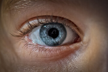 Macro view of a blue gaze