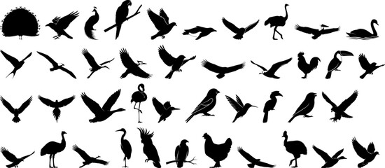Obraz premium Minimalist Silhouette Assorted Flying and Standing Bird Species Animal Illustration