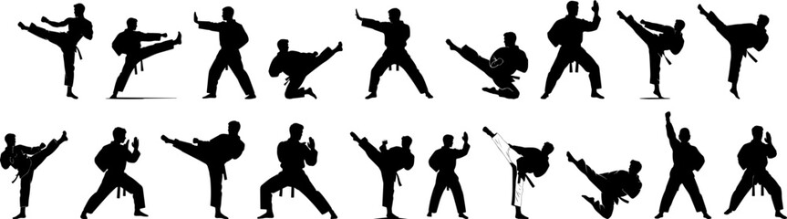Minimalist Silhouette Karate Martial Art Poses Diverse Action Set Illustration
