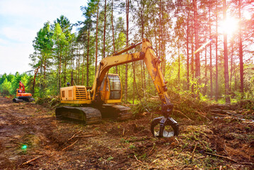 Excavator clearing forest for new development. Orange Backhoe modified for forestry work. Tracked heavy power machinery for forest, peat industry. Logging, road construction in forests. Deforestation.