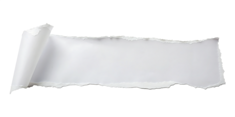 Torn white paper strip with rough edges isolated on a transparent background torn paper