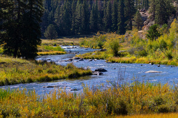 South Platte River in Autumn