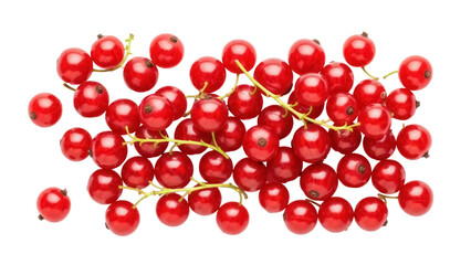Vibrant red currant berries isolated PNG, fresh summer fruit with translucent skin and juicy pulp for healthy eating and dessert making