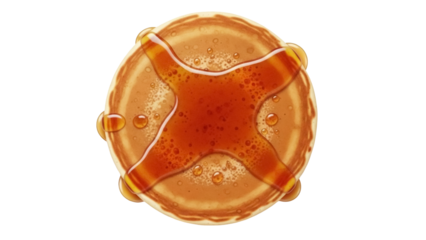 Golden pancake with maple syrup isolated PNG, delicious breakfast food on transparent background, sweet dessert for menu and recipe design