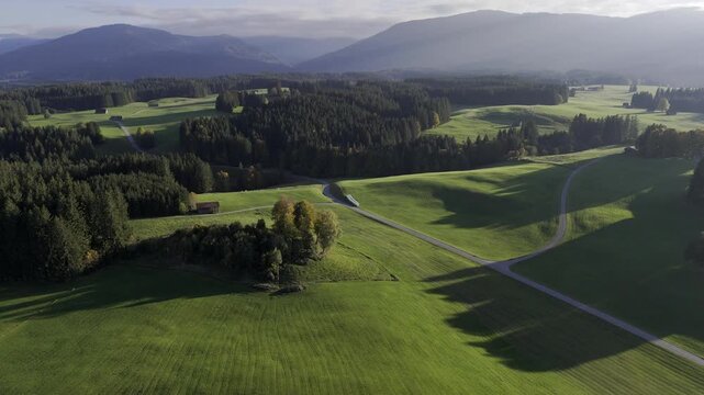 Rolling alpine meadows captured by drone at Wildsteig, Bavaria, morning light painting pastures and winding road, ideal for sustainability campaigns.