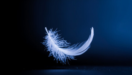 A Delicate White Feather Gently Hovering in Midair with a Deep Blue Studio Background